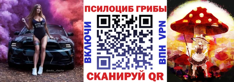 Галлюциногенные грибы Psilocybe маркетплейс телеграм Сясьстрой